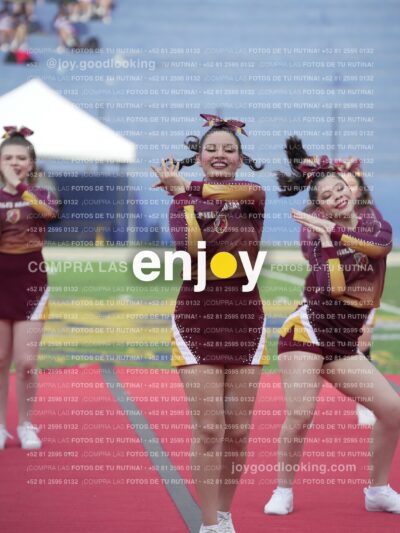 Vixra Joy04096 Compressed