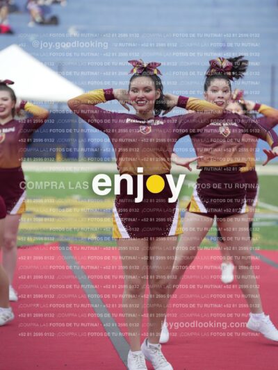 Vixra Joy04097 Compressed