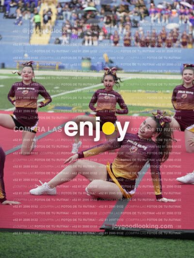 Vixra Joy04099 Compressed