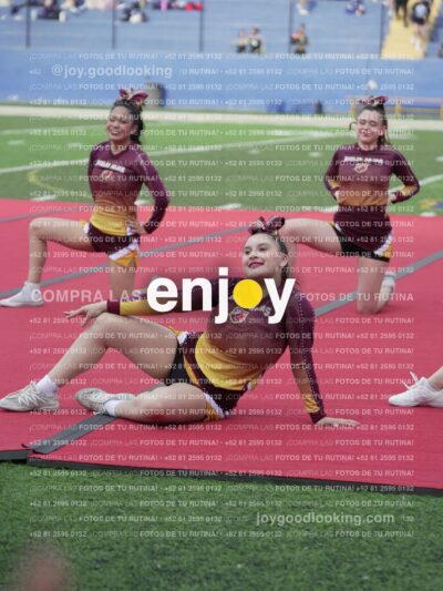 Vixra Joy04101 Compressed