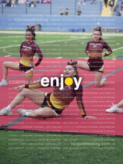 Vixra Joy04102 Compressed