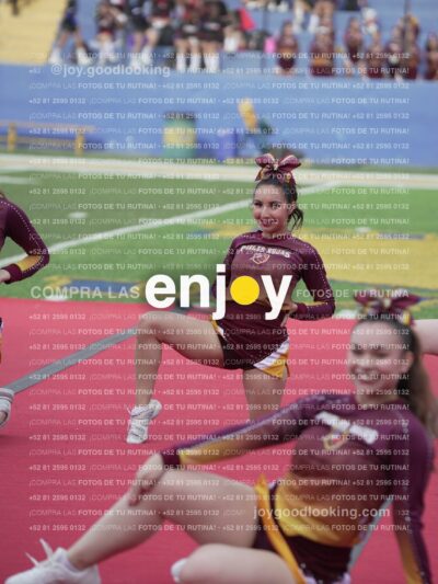 Vixra Joy04105 Compressed