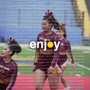 Vixra Joy04108 Compressed